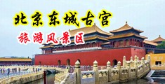 啊啊啊哦插我麻豆中国北京-东城古宫旅游风景区